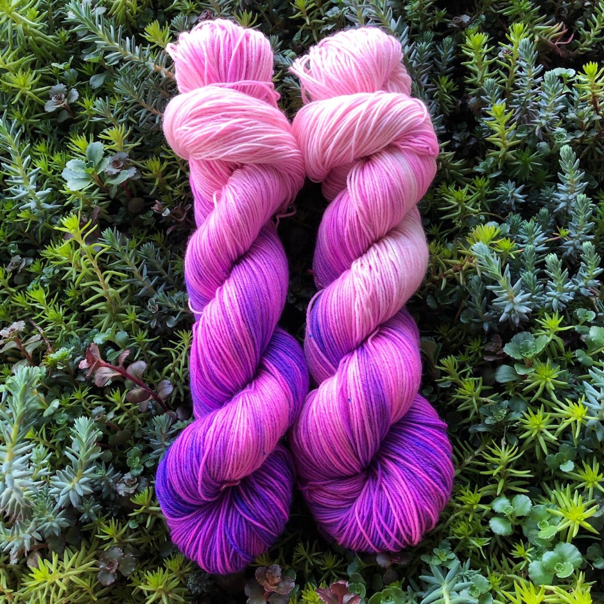 Axion Cloud Skeins