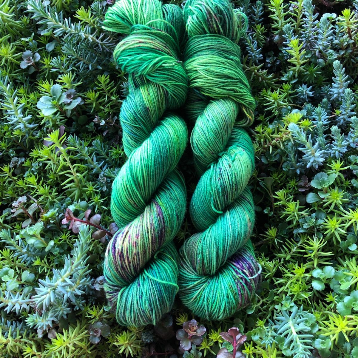 Succulent Yarn Skeins